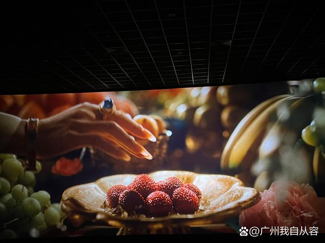 456影院的相关介绍