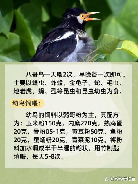 日本女按摩精油按摩视频的相关介绍
