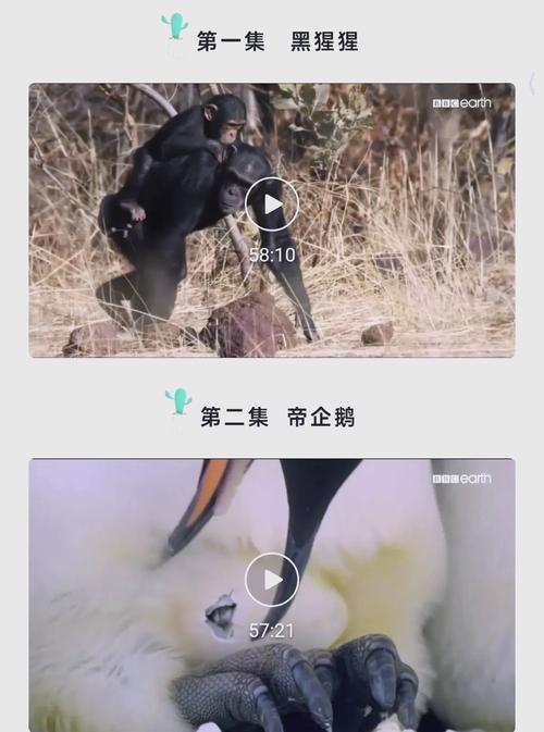 激情久久片子的相关介绍
