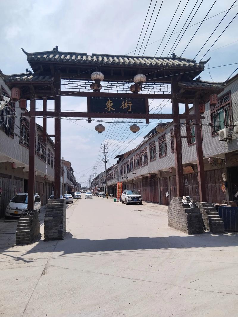 欧美人妻中字在线的相关介绍