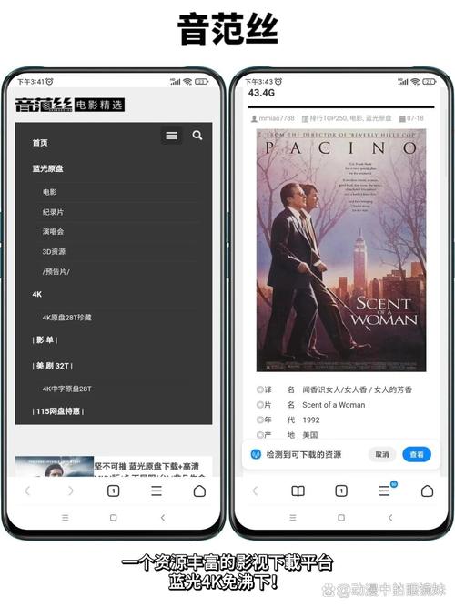 欧美一区二区三区色哟哟的相关介绍