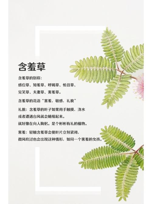 夜深影院的相关介绍
