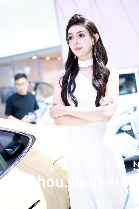 18禁动漫美女网站的相关介绍