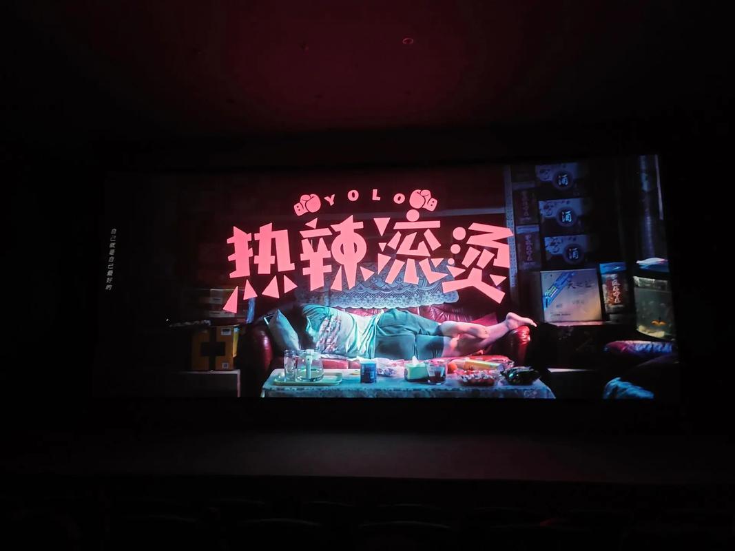 欧洲大尺码影院的相关介绍