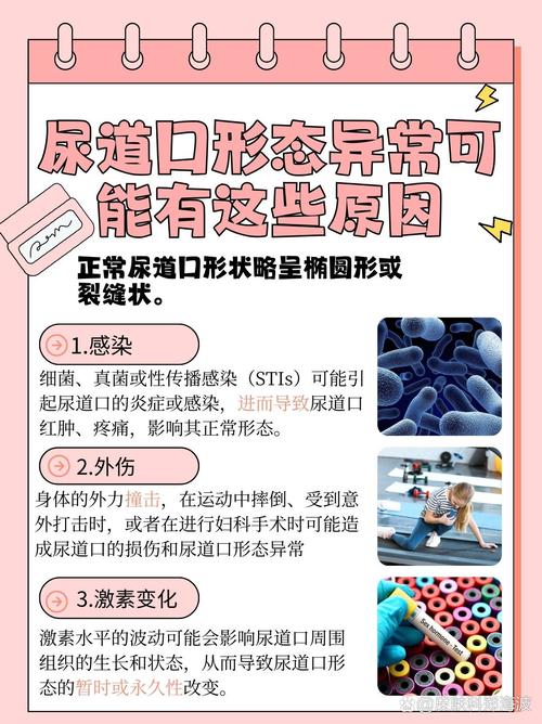 啵啵影院的相关介绍