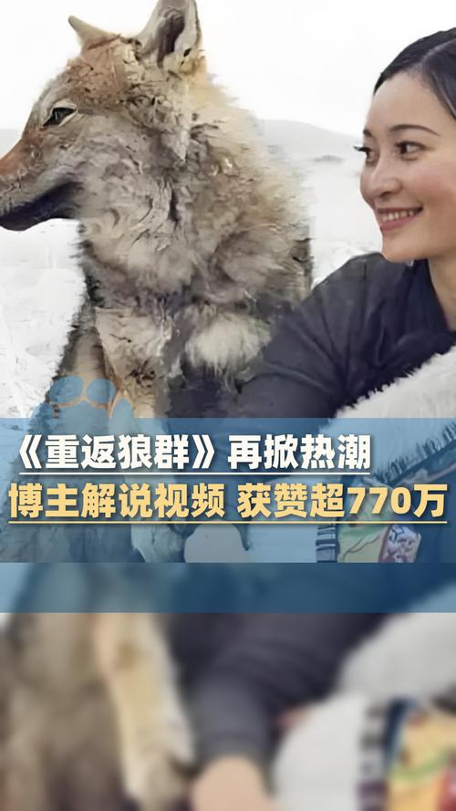 九号影院的相关介绍