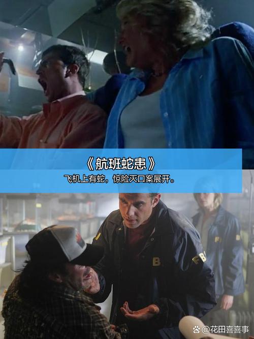 久久久精品久久久久久69的相关介绍