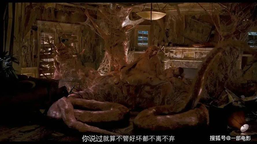 播播影院网12306的相关介绍