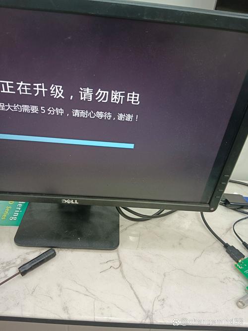 国产精品久久久久久久久片桃花的相关介绍
