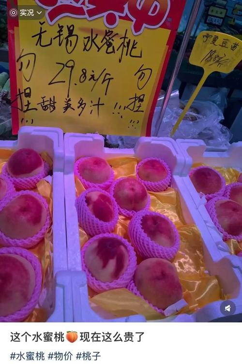 蘑菇影院的相关介绍