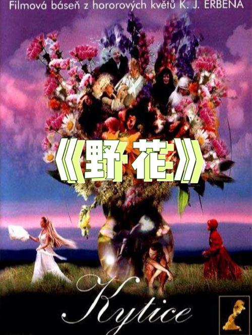 老司机在线影院狠狠的相关介绍