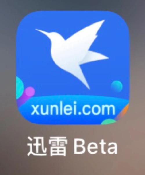 av黑丝在线播放的相关介绍