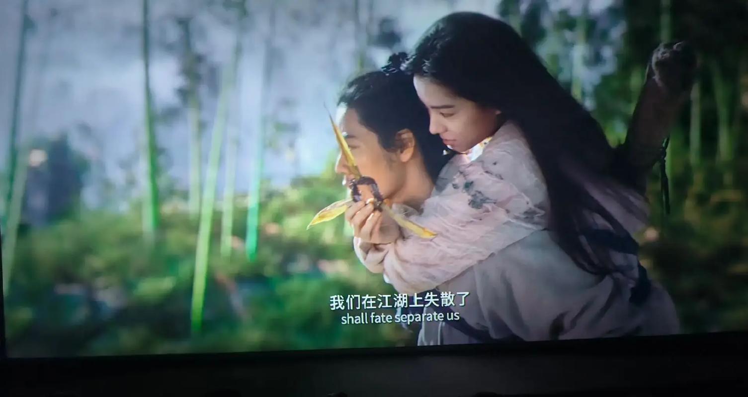 一区二区免费视频va的相关介绍