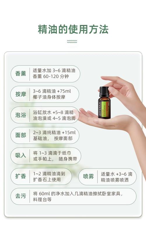 午夜伦理:福利的相关介绍