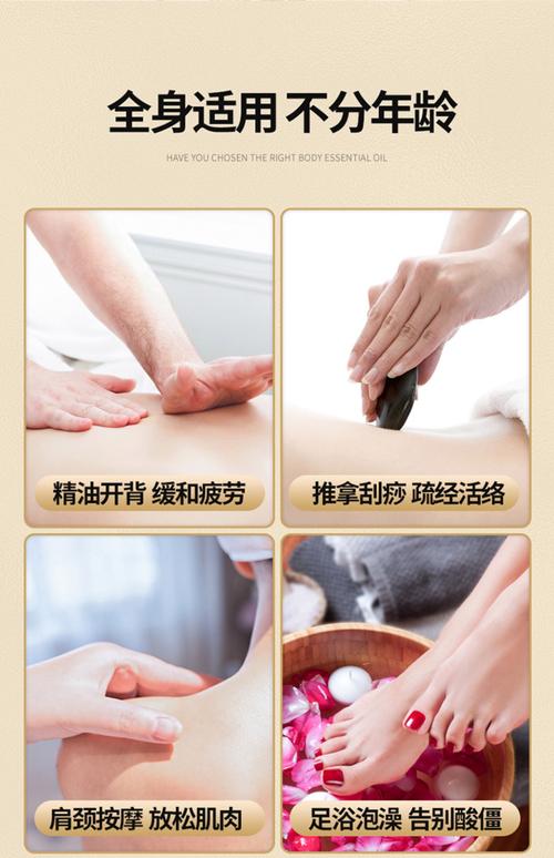 亚洲 欧美 在线 人妻的相关介绍
