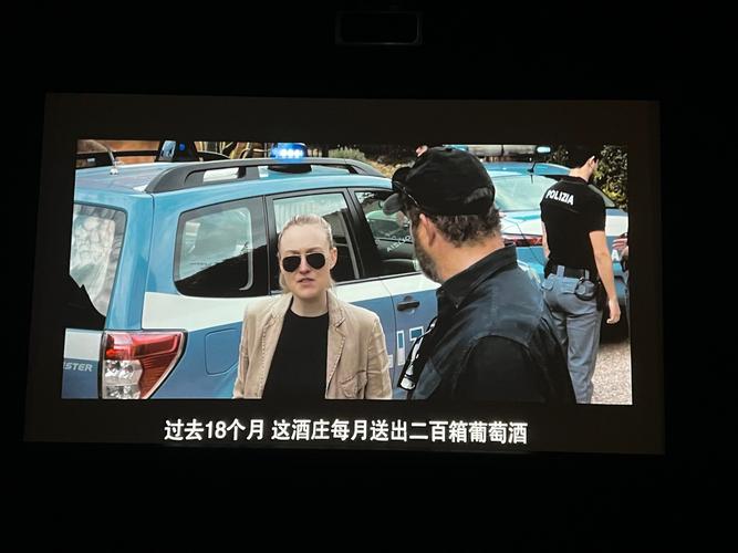 欧美老熟妇免费的相关介绍