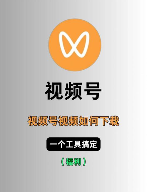 国产福利毛片在线看的相关介绍