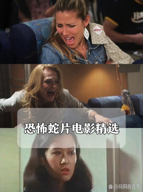 华夏影院的相关介绍