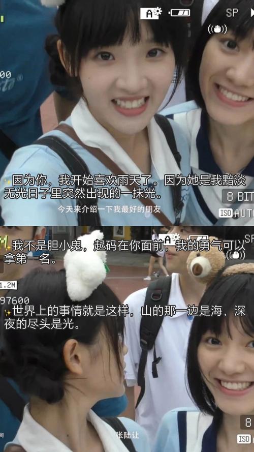 草莓视频app下载18岁的相关介绍
