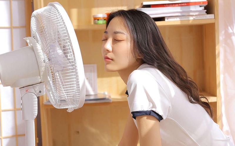 av熟妇系列的相关介绍