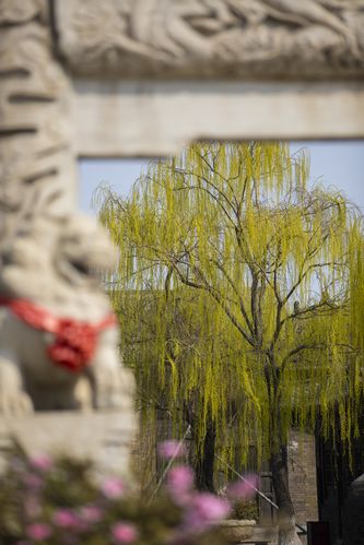 影院夜色在线视频观看的相关介绍