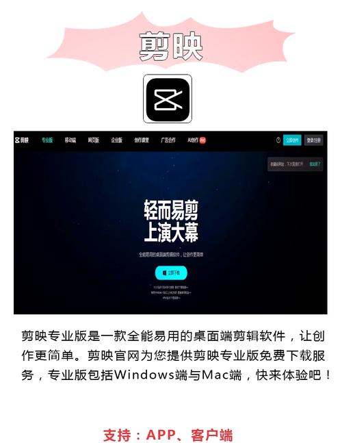 白丝av网站的相关介绍