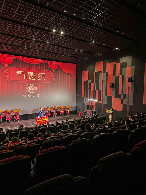 兄弟影院的相关介绍