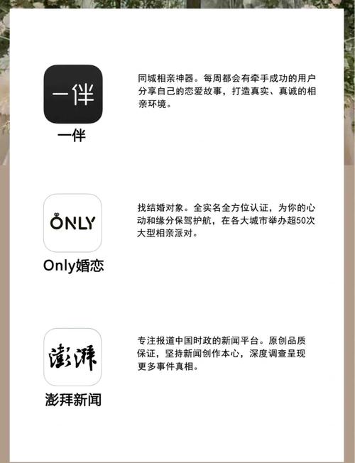 黑丝袜av的相关介绍