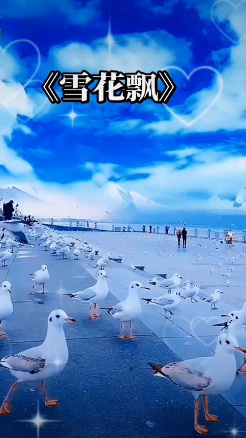 精品精品久久久的相关介绍