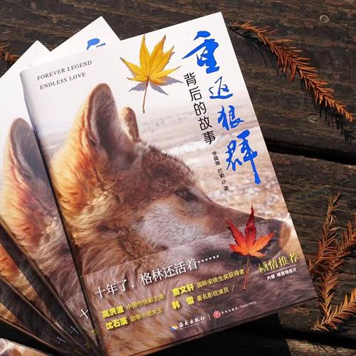 yy6029新视觉影院的相关介绍