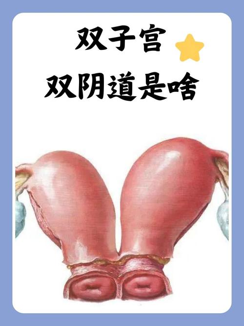 极品人妻啪啪的相关介绍