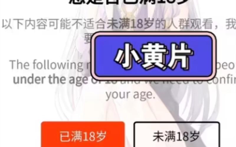 精品久久久6的相关介绍