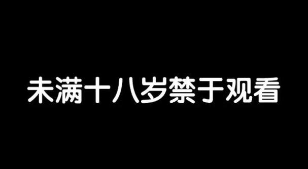 4d私人影院的相关介绍