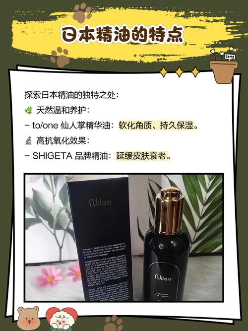 男女大尺度激吻的相关介绍