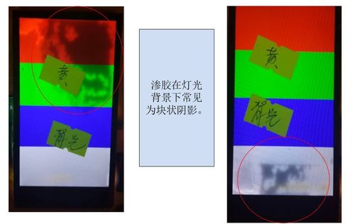 一边亲一边摸一边曰的相关介绍