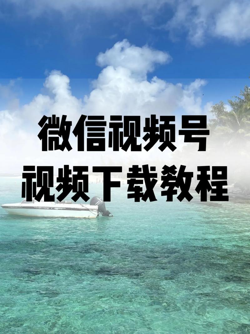 人妻少妇啪啪啪的相关介绍