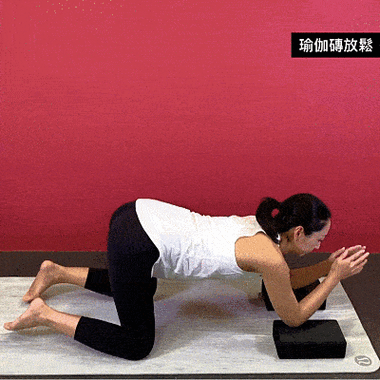 成人看片18女人毛片免费看的相关介绍