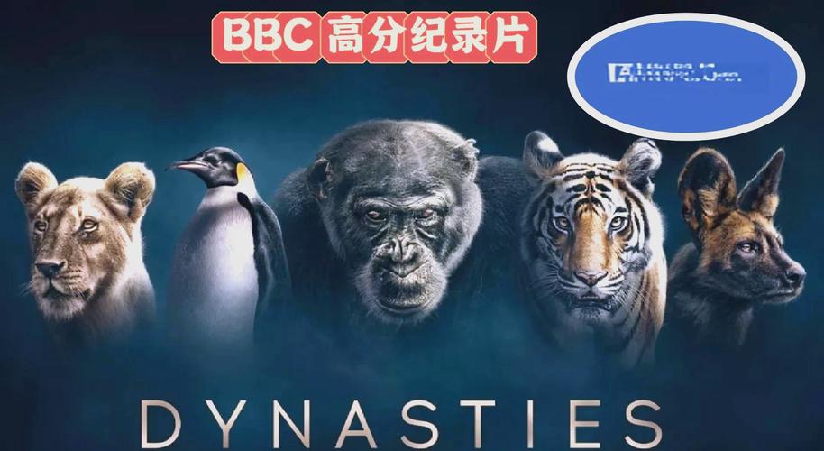 第一夜影院的相关介绍