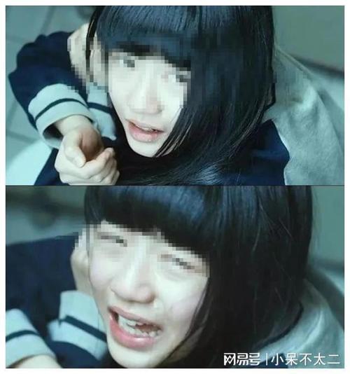 美景之屋2真心影院的相关介绍