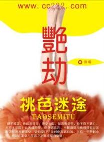综合av少妇的相关介绍
