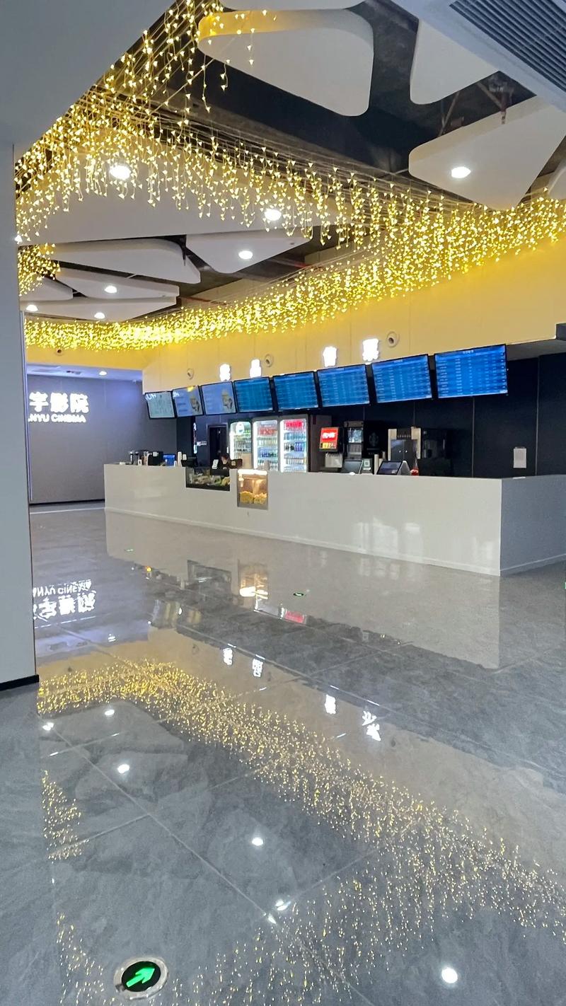 骚寡妇影院的相关介绍