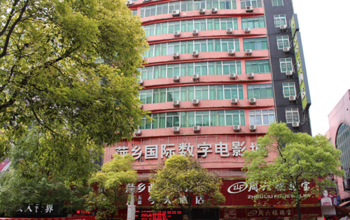 伦理啪啪啪啪的相关介绍