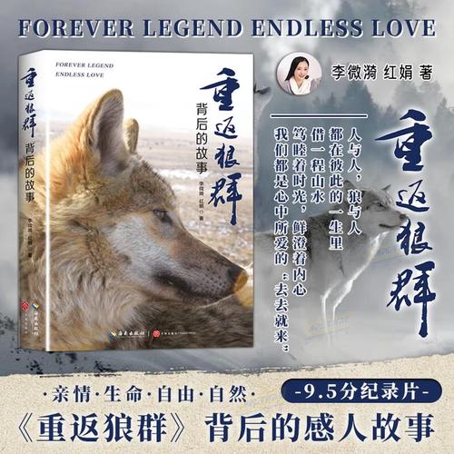 神马影院第九影院yy6080的相关介绍