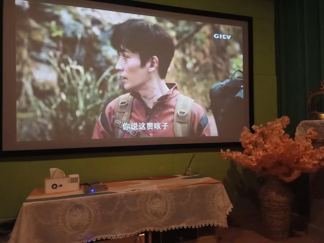 在线电影院的相关介绍
