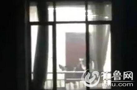 人妻有码视频的相关介绍
