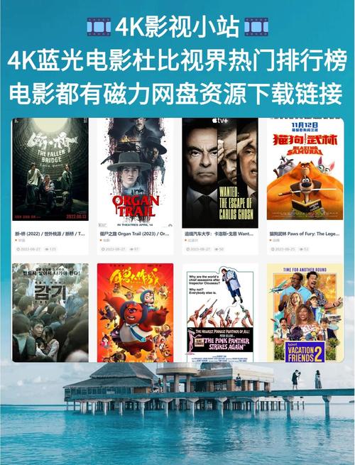 亚洲av之美女人妻的相关介绍