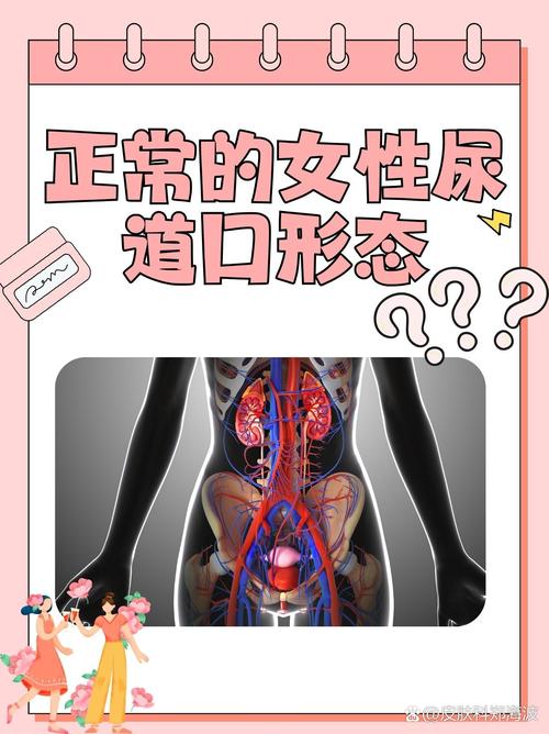 张家界电影院的相关介绍